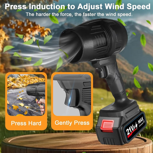 Jet Blower with Charger (2 Battery)